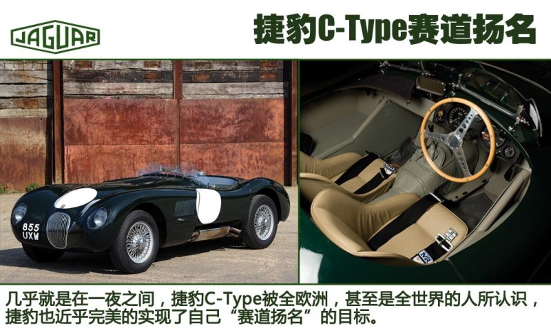 捷豹 捷豹c-type 1951款 基本型