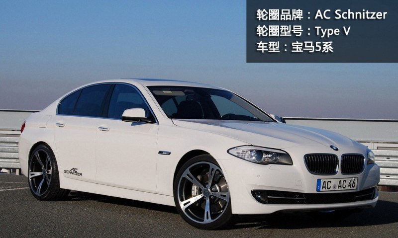 宝马(进口) 宝马5系(进口) 2011款 535i 豪华运动型