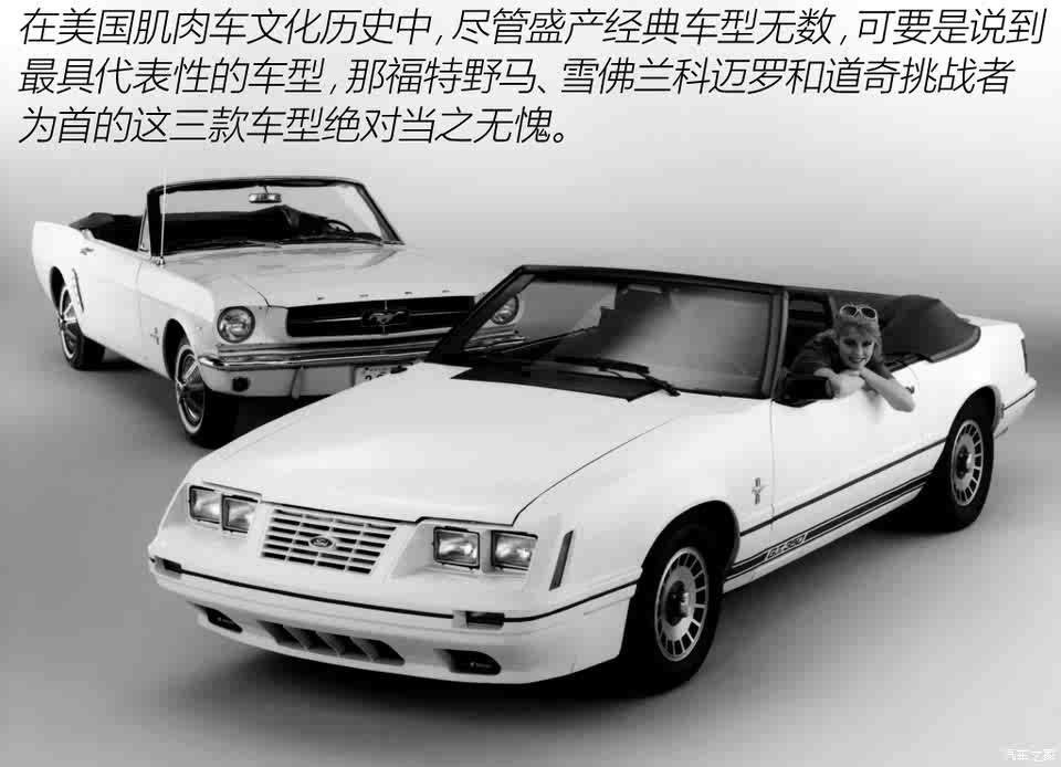 福特一口气推出多款大排量的发动机,搭载在野马,都灵以及美洲狮上.