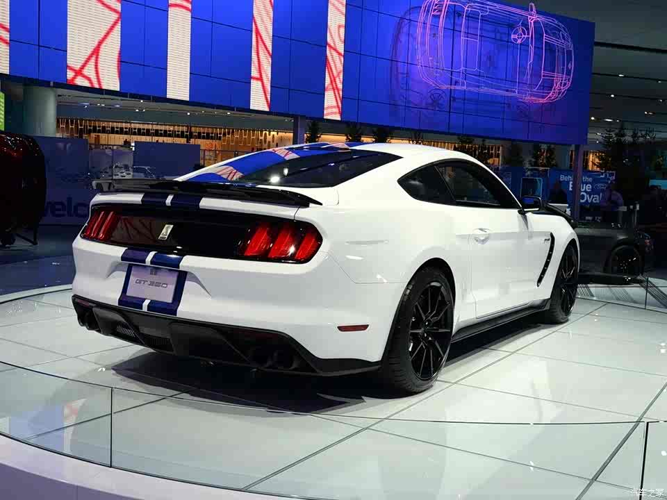 福特(进口) 野马 2015款 gt350 shelby
