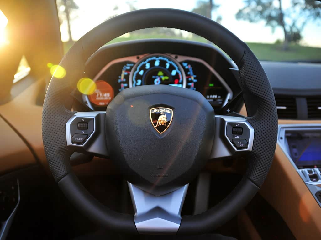 兰博基尼 aventador 2013款 lp 700-4 roadster 中控方向盘 已经是