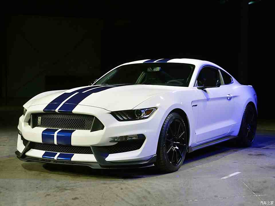 福特(進口) 野馬 2015款 gt350 shelby