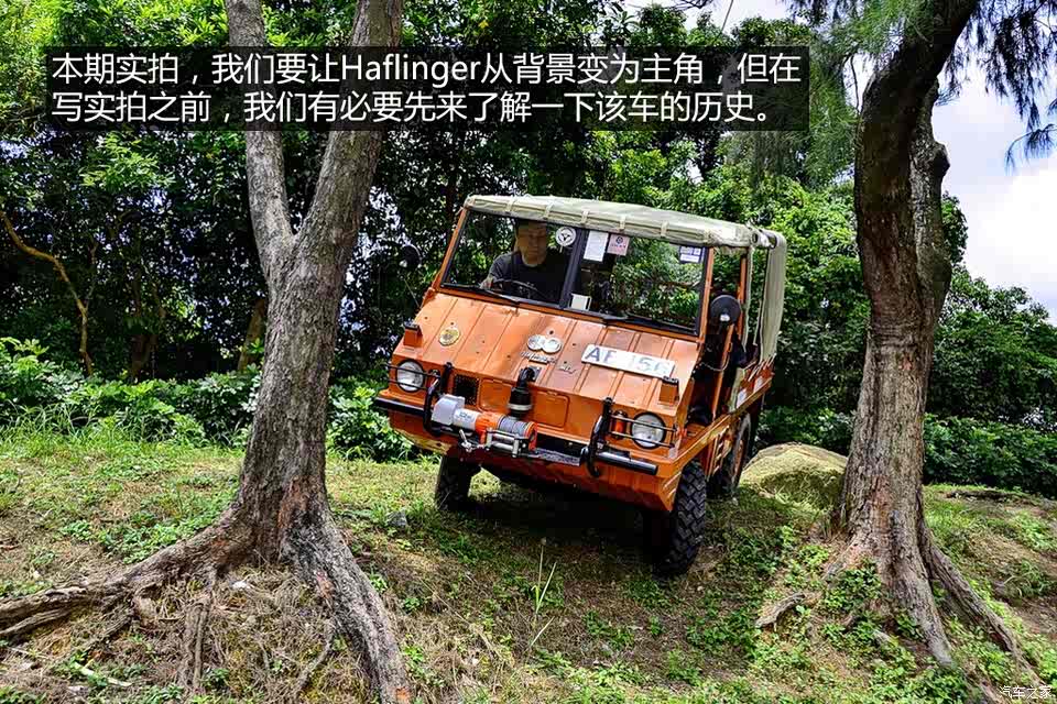 【图】越野小怪兽 实拍1974年斯太尔haflinger_汽车之家