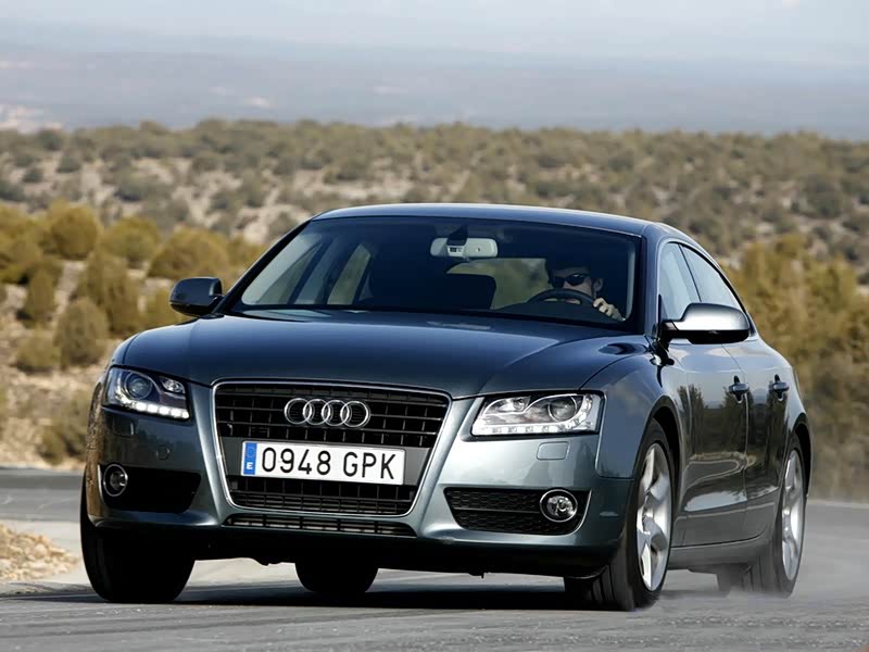 800x0_q87_autohomecar__y_20100319093737094264.jpg