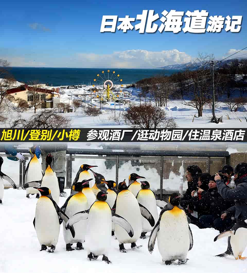 图 旭川 登别 小樽日本北海道两日游记 汽车之家 图 旭川 登别 小樽日本北海道两日游记 汽车之家