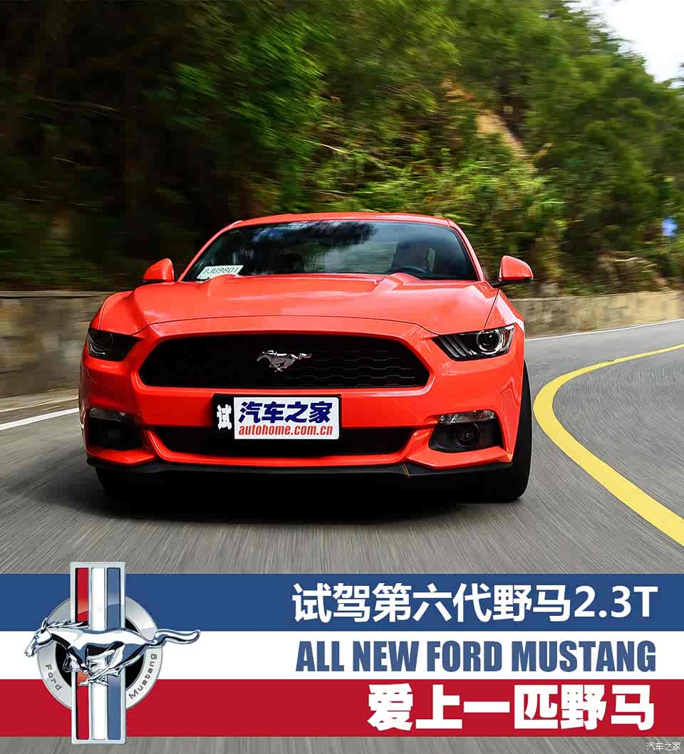 说句实话,身为土生土长的中国人,我们也许很难理解野马在美国人心目中